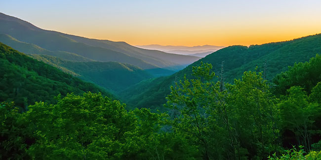 start your own craft beer brewery western north carolina